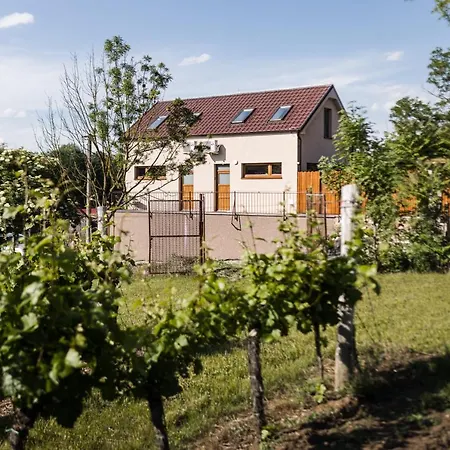Sklep Na Spravnem Miste - Degustace, A Wellness *