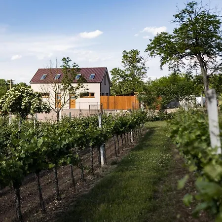 Sklep Na Spravnem Miste - Degustace, A Wellness