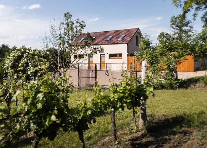 Sklep Na Správném Místě - Degustace, A Wellness *